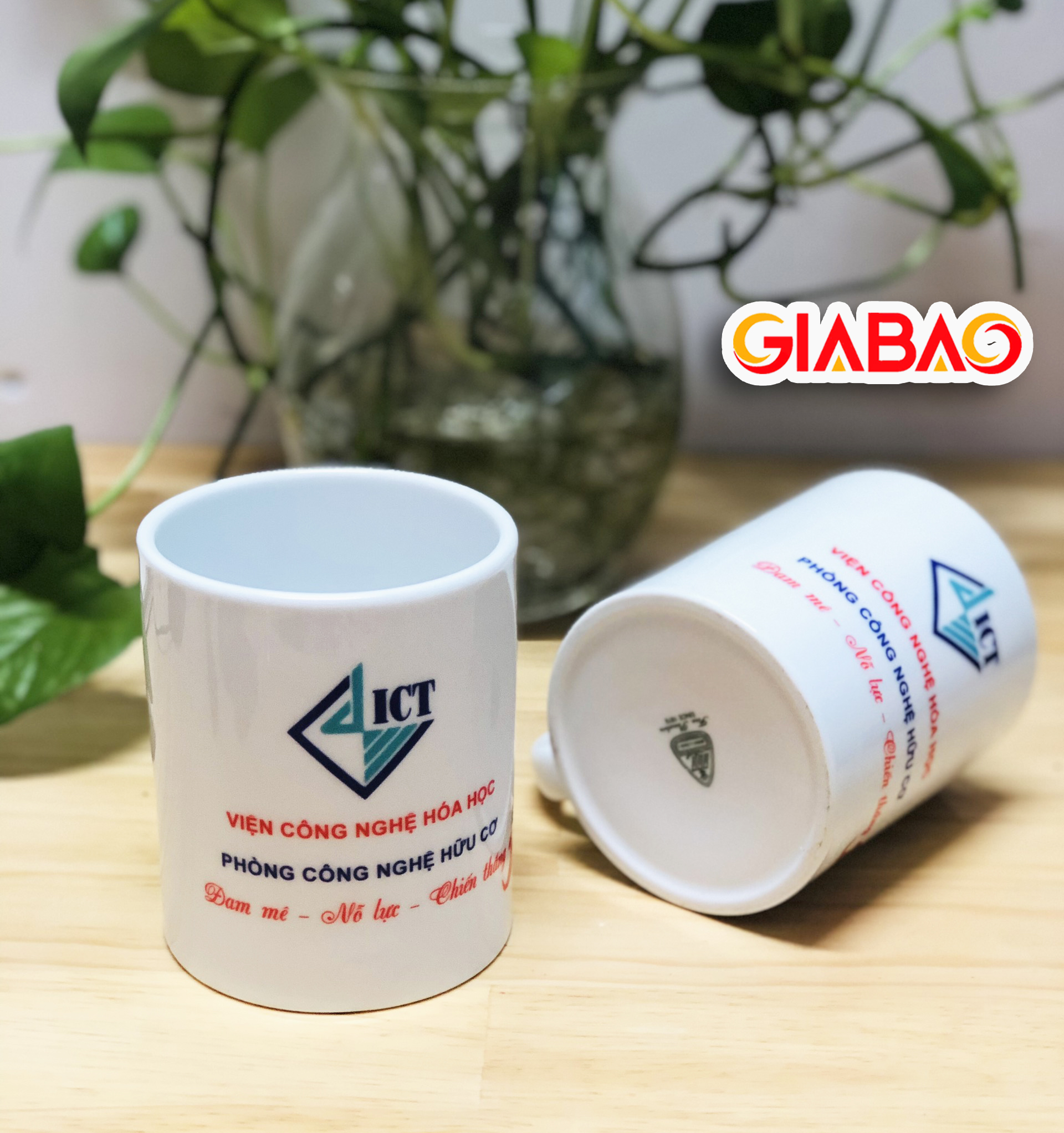 cốc sứ minh long cao cấp